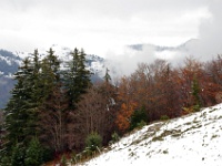 Haute Savoie 2014 11 06 0089