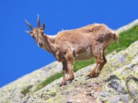 Les promenades en France