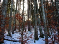 Haute Savoie 2017-11-17-005