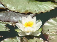 Marais 2009 06 01 0022