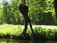 Marais 2009 06 02 0051
